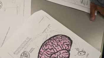 Printed brain worksheets on a table, one colored pink and purple, a student's hand visible